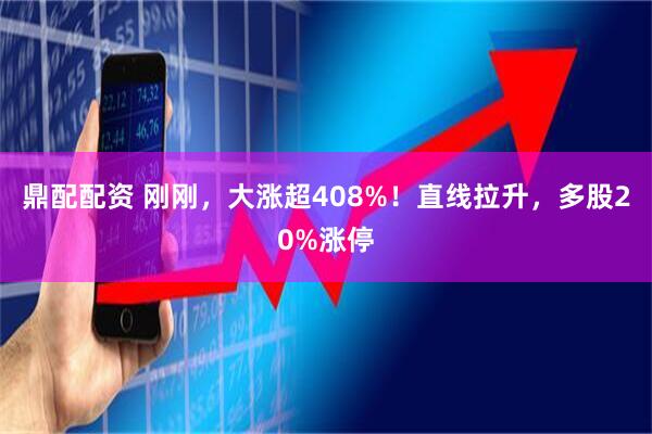 鼎配配资 刚刚,大涨超408%!直线拉升,多股20%涨停