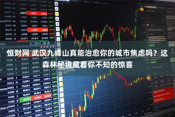 恒财网 武汉九峰山真能治愈你的城市焦虑吗？这森林秘境藏着你不知的惊喜